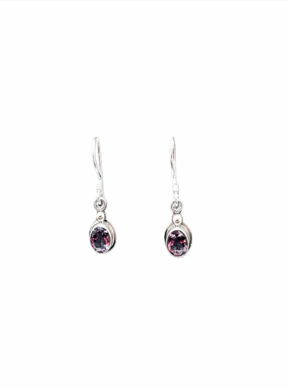 Amethyst Earrings 1 Amethyst Earrings